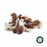 Shrooms - Penis Envy #6 - West Coast Cannabis