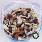 Shrooms - Penis Envy #6 - West Coast Cannabis