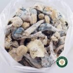 Shrooms - Snow White - West Coast Cannabis