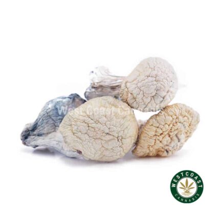 Shrooms - Snow White - West Coast Cannabis
