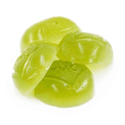 Sky High Edibles - Green Apple Gummy 600mg THC - West Coast Cannabis