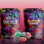 Sky High Edibles - World of Flavor Gummies - North America (1200mg THC) - West Coast Cannabis