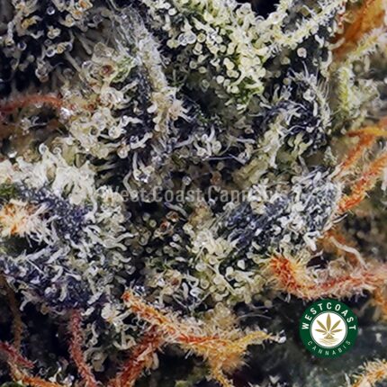 Skywalker OG AAAA (Popcorn Nugs) - West Coast Cannabis