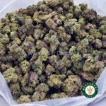 Skywalker OG AAAA (Popcorn Nugs) - West Coast Cannabis