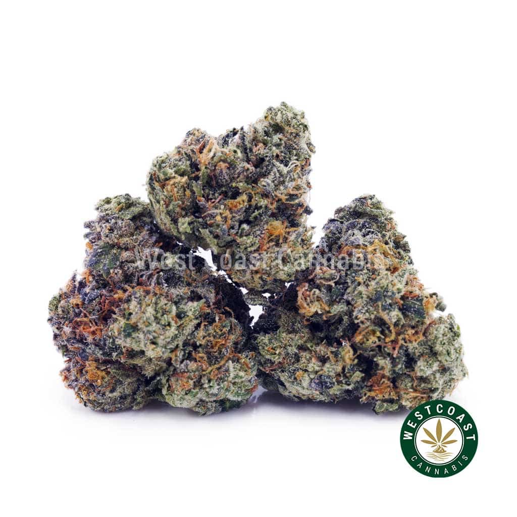 Skywalker OG AAAA (Popcorn Nugs) - West Coast Cannabis Skywalker OG AAAA (Popcorn Nugs) - West Coast Cannabis