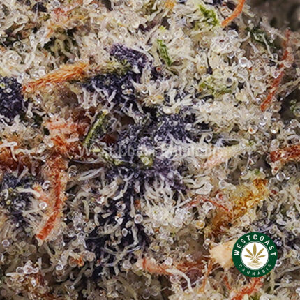Slurricane AAA - West Coast Cannabis