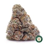 Slurricane AAA - West Coast Cannabis