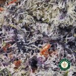 Snoop Dog OG AAAA - West Coast Cannabis