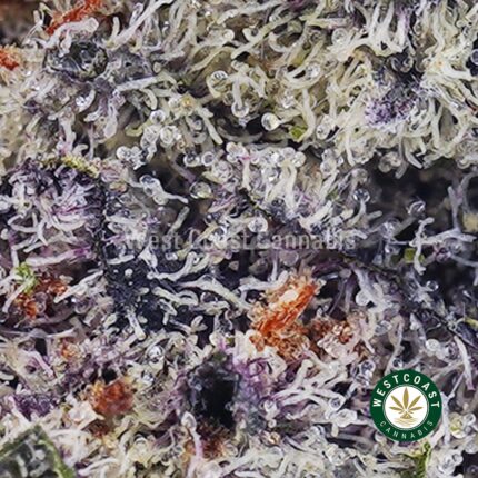 Snoop Dog OG AAAA - West Coast Cannabis