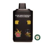 Straight Goods - Dual Chamber Vape - Apple Fritter + Ghost Rider OG (3 Grams + 3 Grams) - West Coast Cannabis