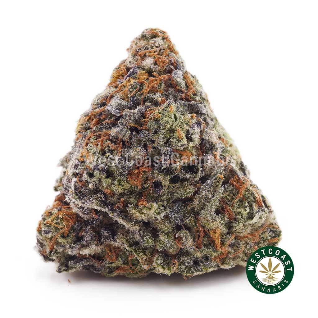 Strawberry Cough AAA - West Coast Cannabis Strawberry Cough AAA - West Coast Cannabis