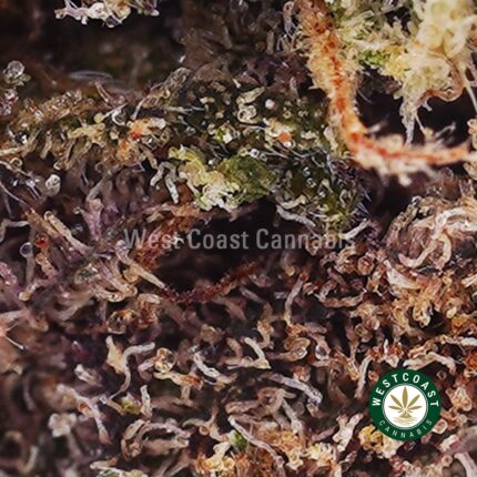 Strawberry Gelato AAA - West Coast Cannabis