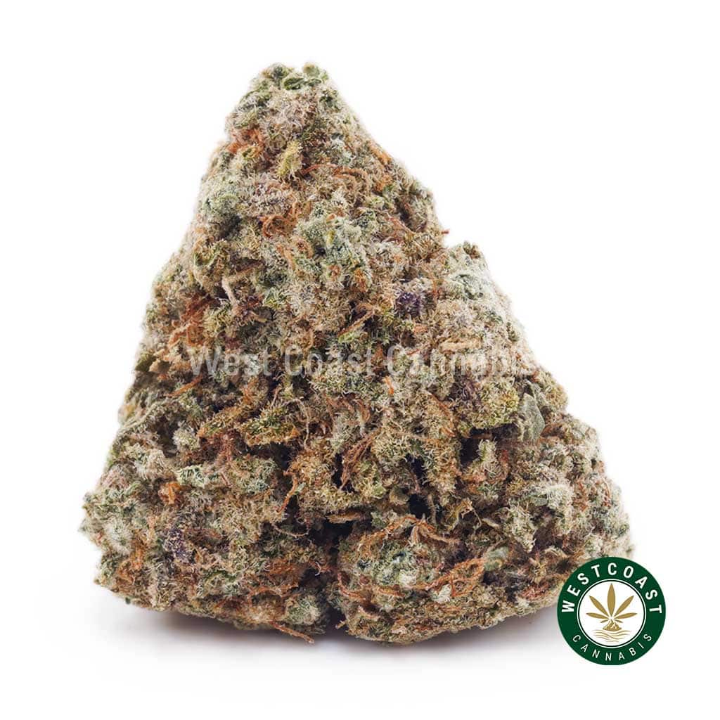 Strawberry Gelato AAA - West Coast Cannabis Strawberry Gelato AAA - West Coast Cannabis