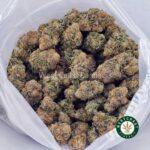 Super Glue AA - West Coast Cannabis