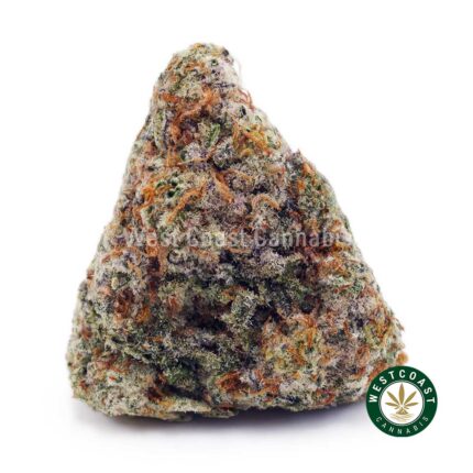 Super Glue AA - West Coast Cannabis