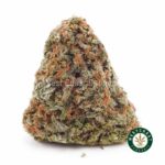 Super Silver Haze AA - West Coast Cannabis