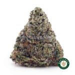 Super Skunk AAAA - West Coast Cannabis