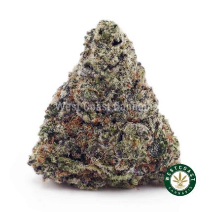 Super Skunk AAAA - West Coast Cannabis