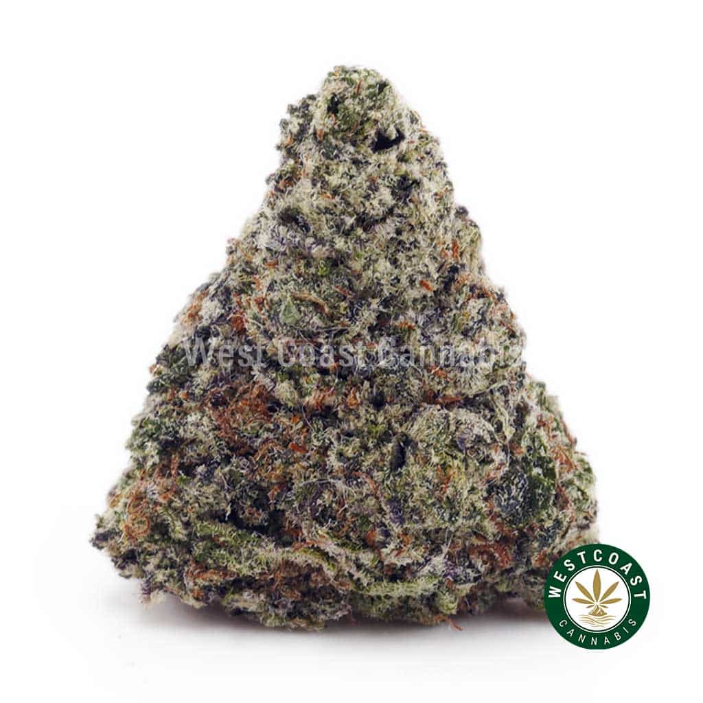 Super Skunk AAAA - West Coast Cannabis Super Skunk AAAA - West Coast Cannabis