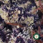 Thin Mintz AAAA (Popcorn Nugs) - West Coast Cannabis