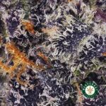 Triangle Kush AAAA - West Coast Cannabis