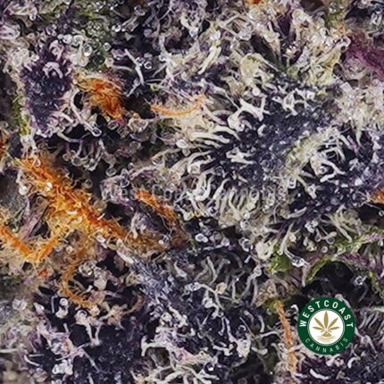 Triangle Kush AAAA - West Coast Cannabis