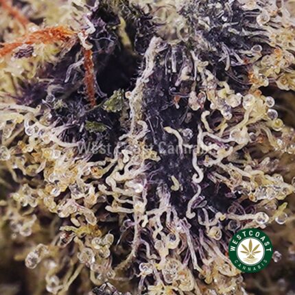 Truffle Kush AAAA - West Coast Cannabis