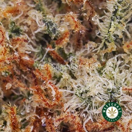 Vanilla Haze AA - West Coast Cannabis