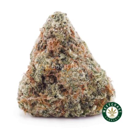 Vanilla Haze AA - West Coast Cannabis
