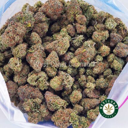 Vanilla Kush AAA - West Coast Cannabis