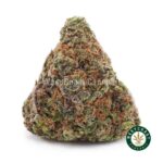 Vanilla Kush AAA - West Coast Cannabis