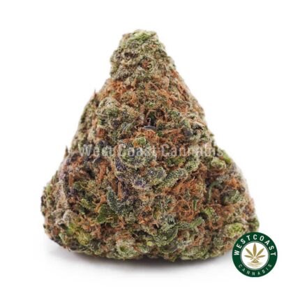 Vanilla Kush AAA - West Coast Cannabis