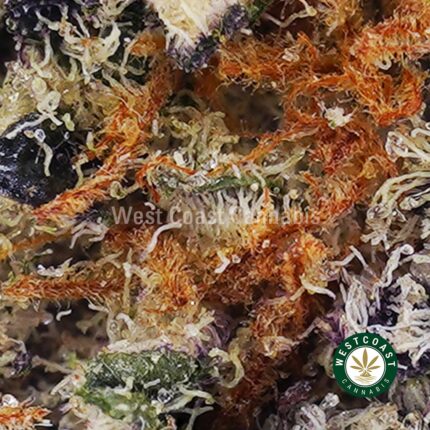 Vanilla Mintz AAA - West Coast Cannabis
