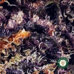 Watermelon Punch AAAA - West Coast Cannabis