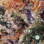 Wedding Cake AAA - West Coast Cannabis