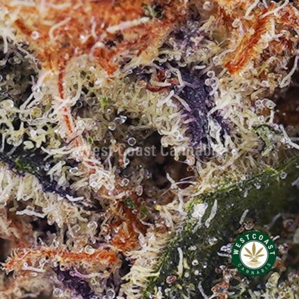 Wedding Cake AAA - West Coast Cannabis