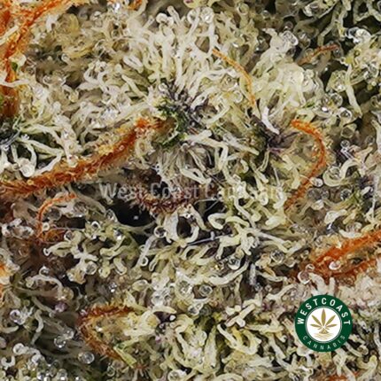 Wedding Crashers AA - West Coast Cannabis