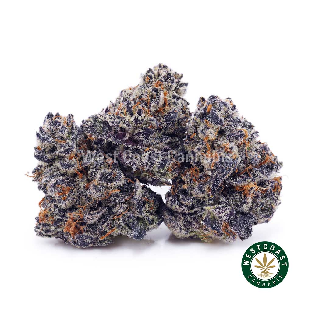 White Truffle AAAA (Popcorn Nugs) - West Coast Cannabis White Truffle AAAA (Popcorn Nugs) - West Coast Cannabis
