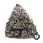 Bubble Gum Kush AAA