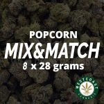 Multi Pack – Popcorn Flowers – 8 x 28g